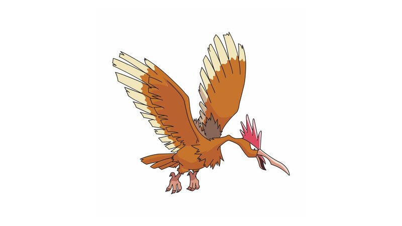 Pidgeot in Flight — Brown