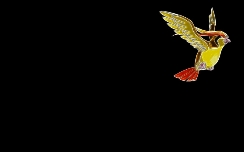 Pidgeot in flight