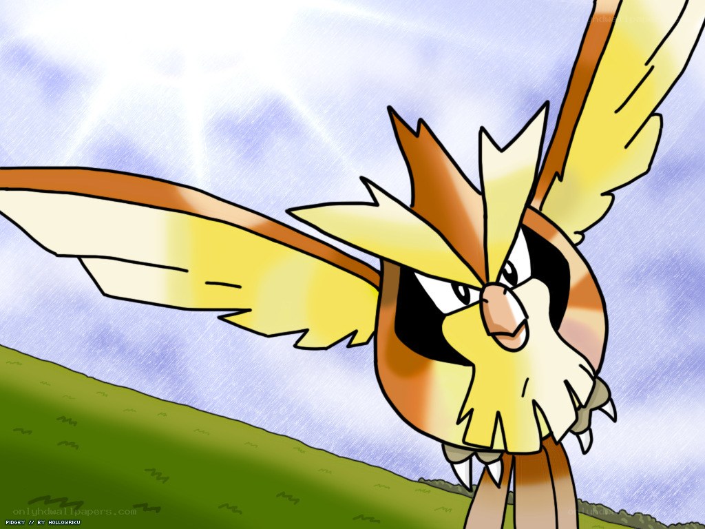 Pidgeot in the sky