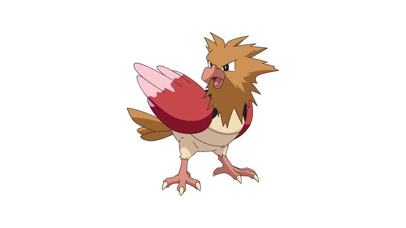 Pidgeotto Bird