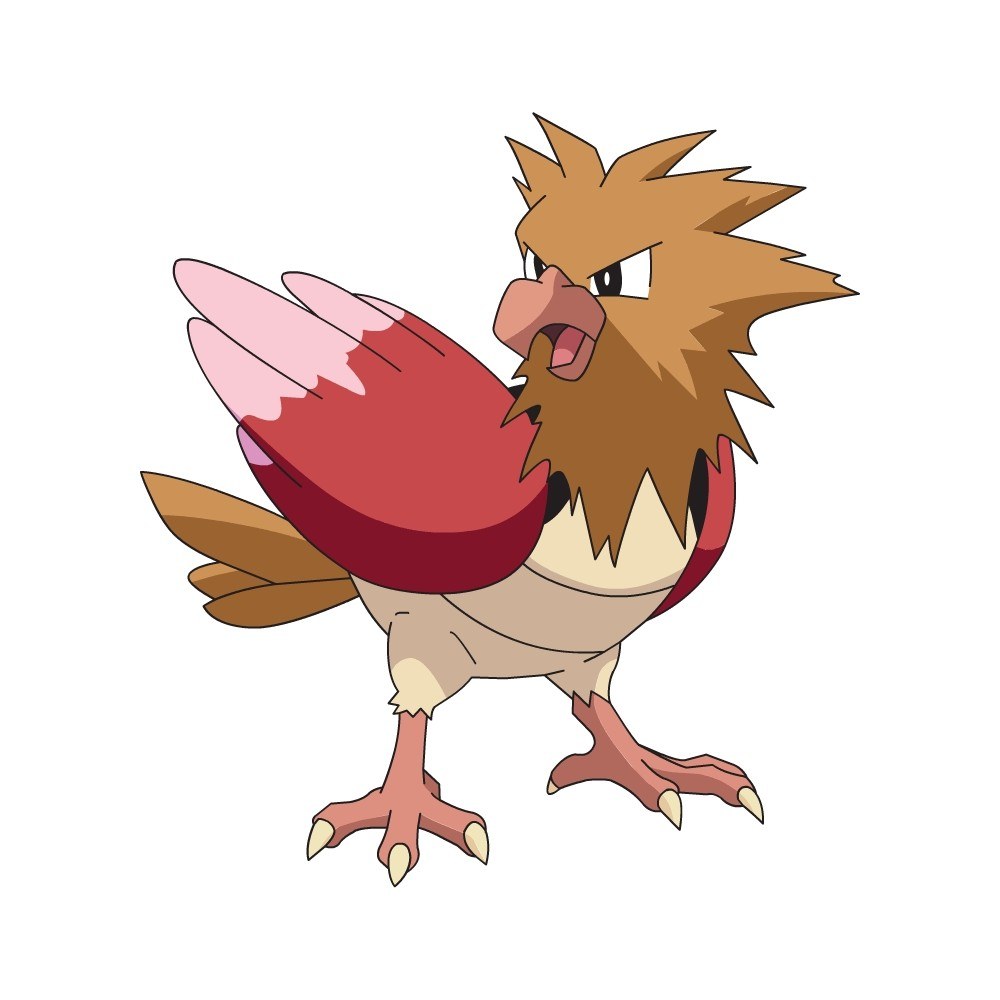 Pidgeotto from Pokémon