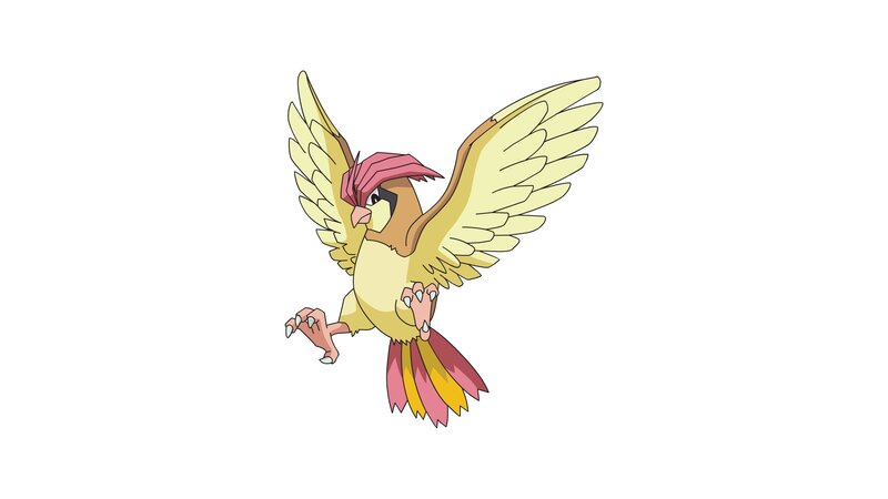 Pidgeotto in Flight
