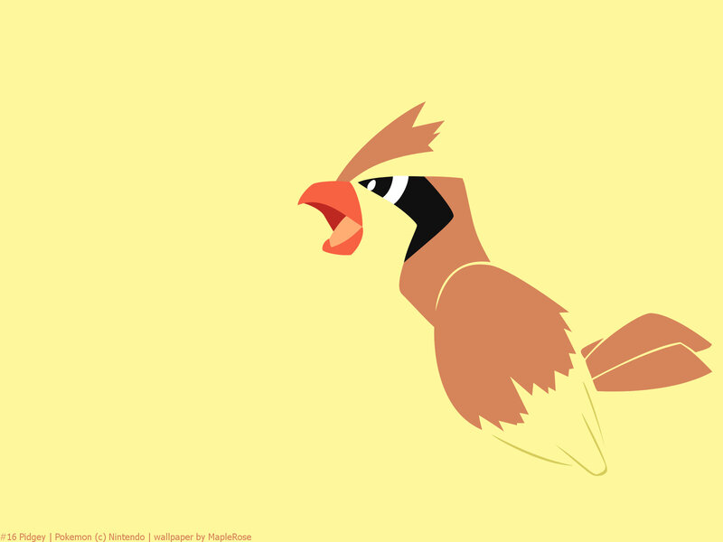 Pidgey Bird Character