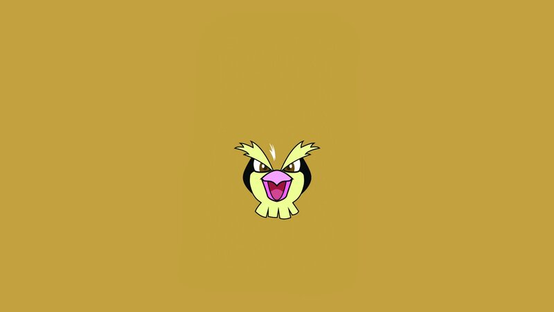 Pidgey Character Face