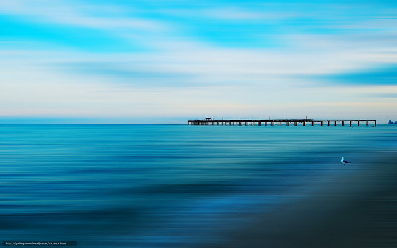 Pier at dawn with seagull