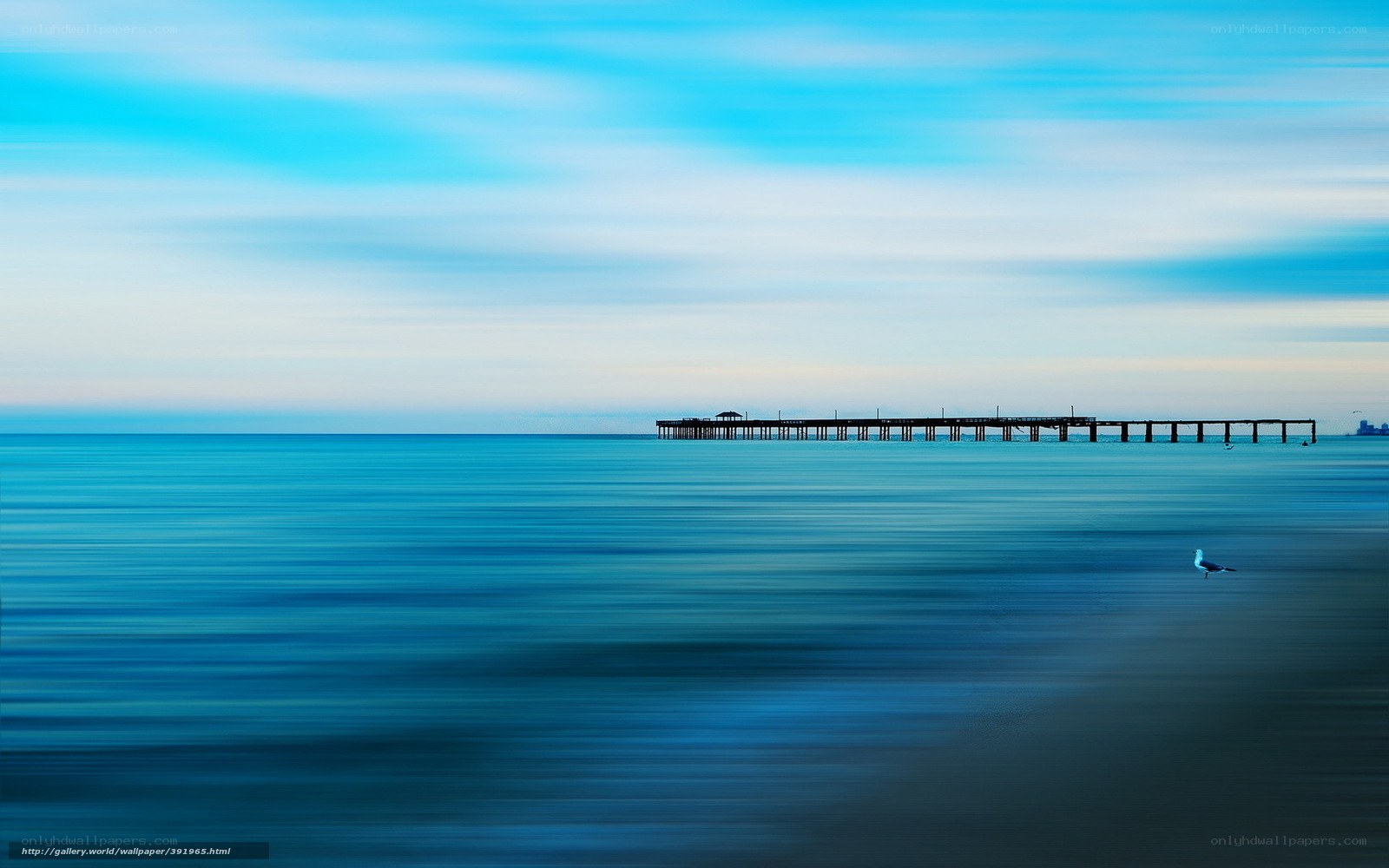 Pier at dawn with seagull