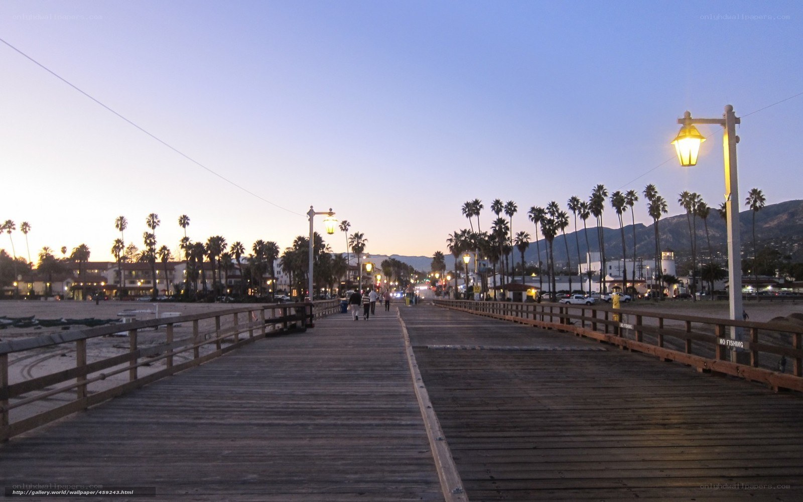 Pier at dusk with palm trees