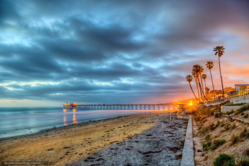 Pier at Sunset — Blue, Dramatic, Photograph, Palm Trees, Beach