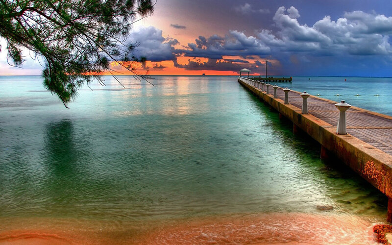 Pier at Sunset — Blue, Dramatic, Photograph, Tree Branch