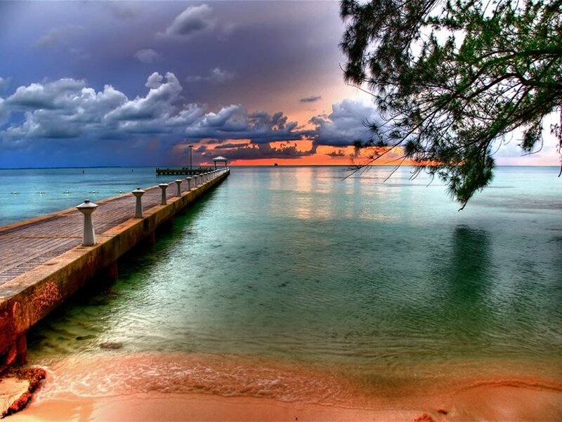 Pier at Sunset — Blue, Dramatic, Photograph, Tree