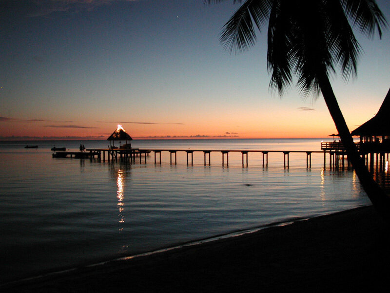 Pier at Sunset — Blue, Serene, Photograph, Palm Tree