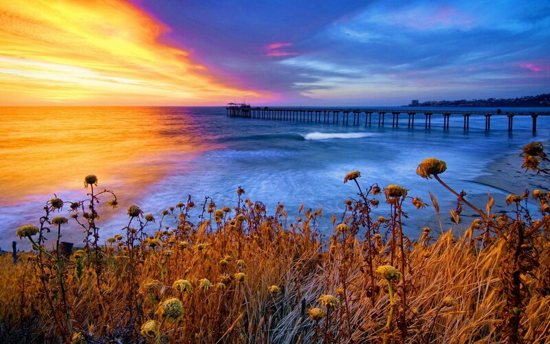 Pier at Sunset — Orange, Dramatic, Photograph, Ocean, Sky, Flowers