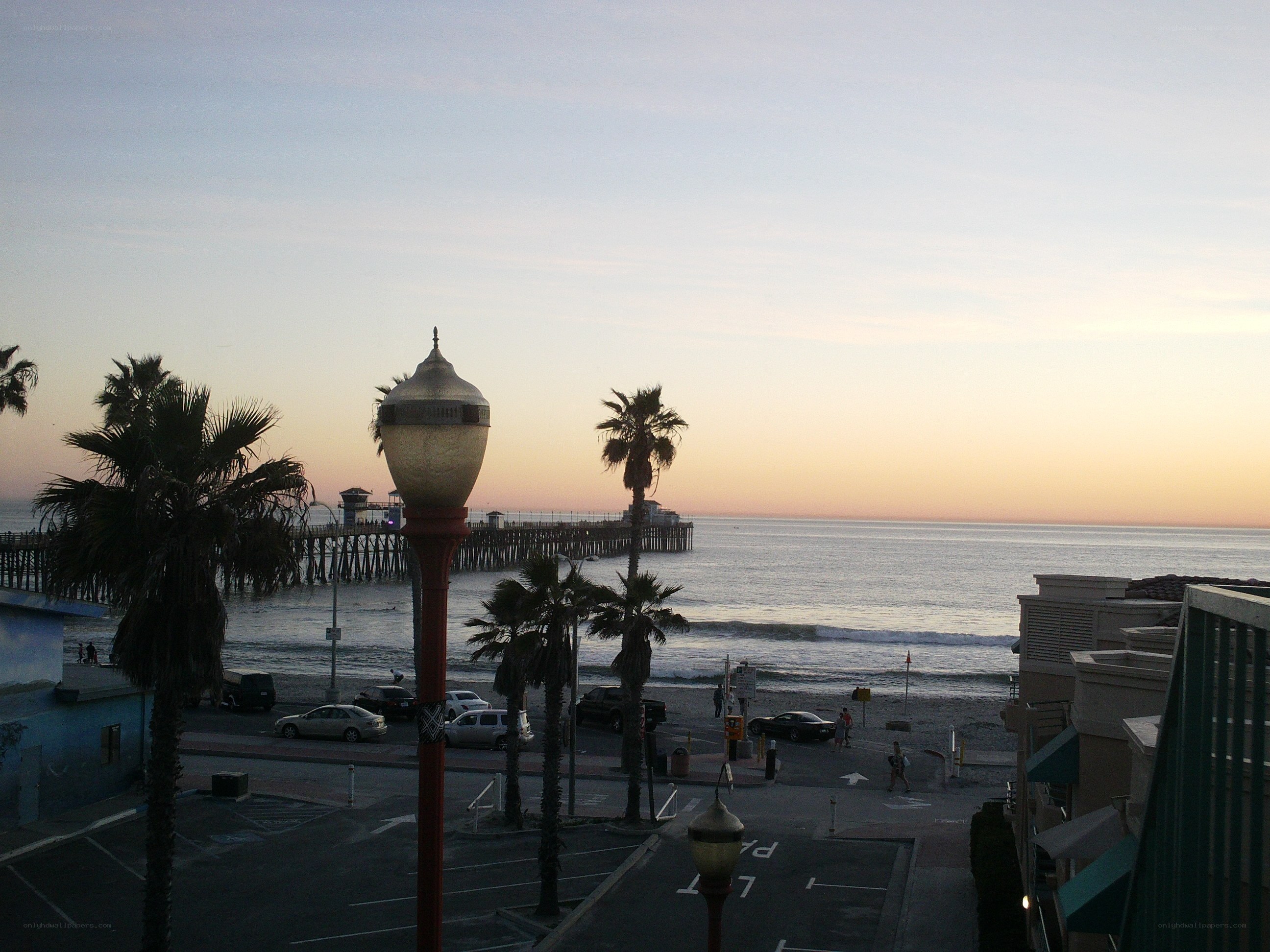 Pier at sunset with palm trees