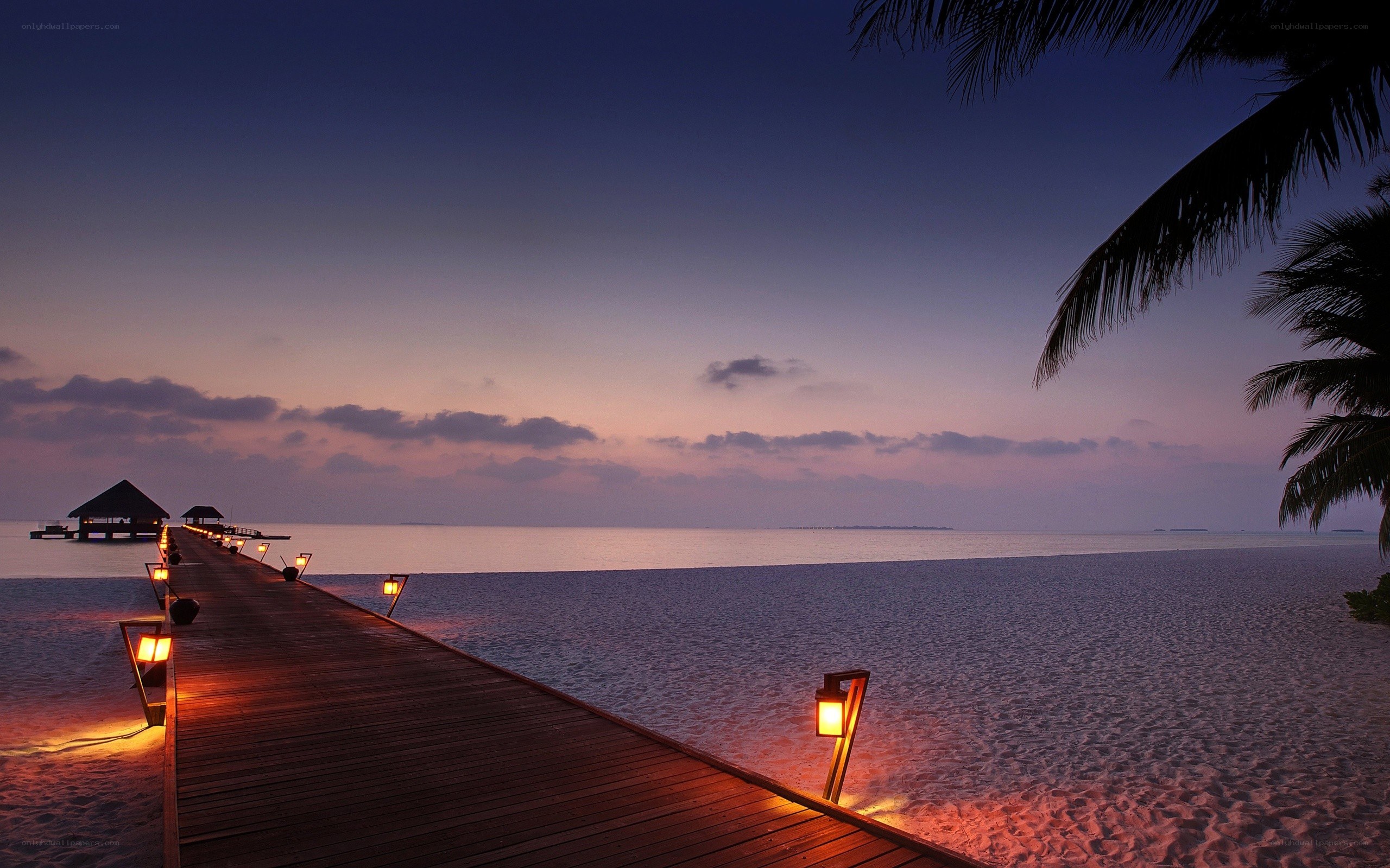 Pier at sunset with palm trees