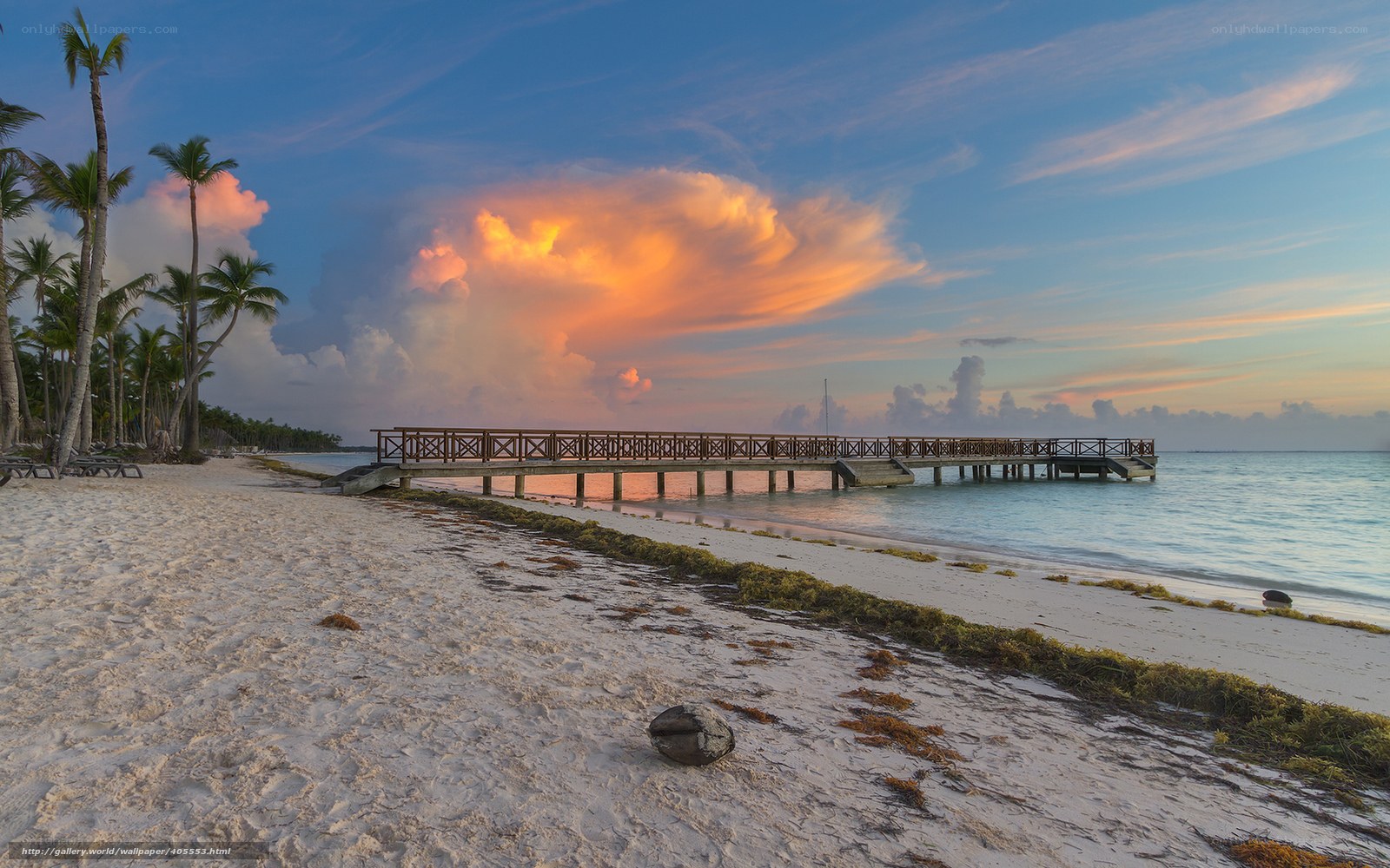 Pier at sunset with palm trees