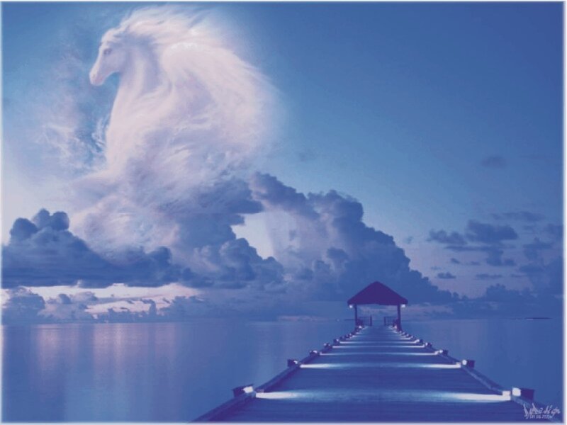 Pier leading to a horse-shaped cloud