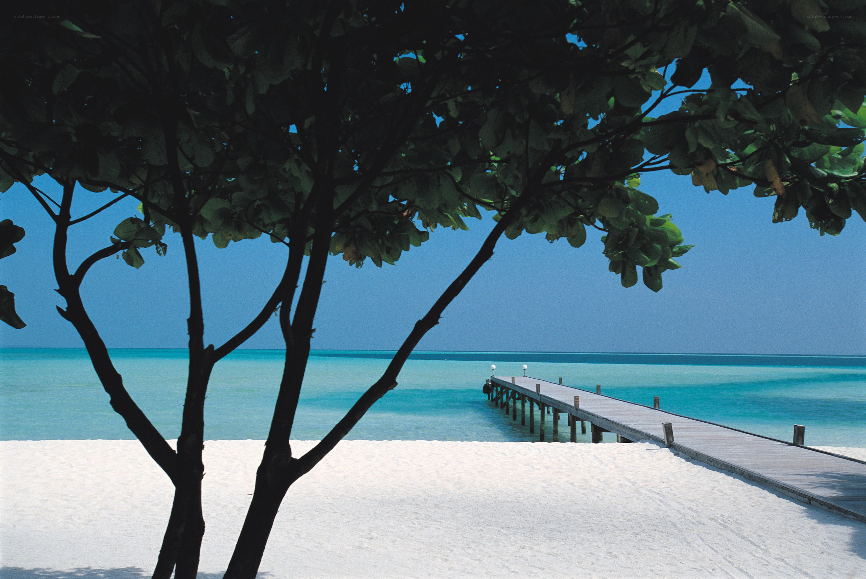 Pier on a tropical beach