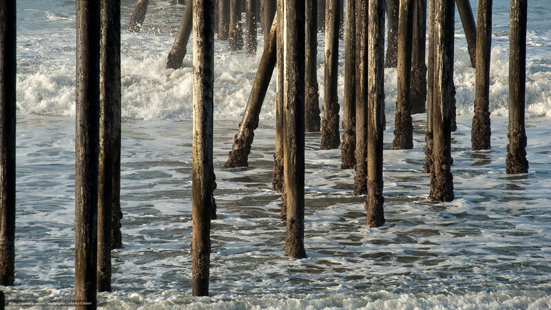 Pier pilings in ocean waves