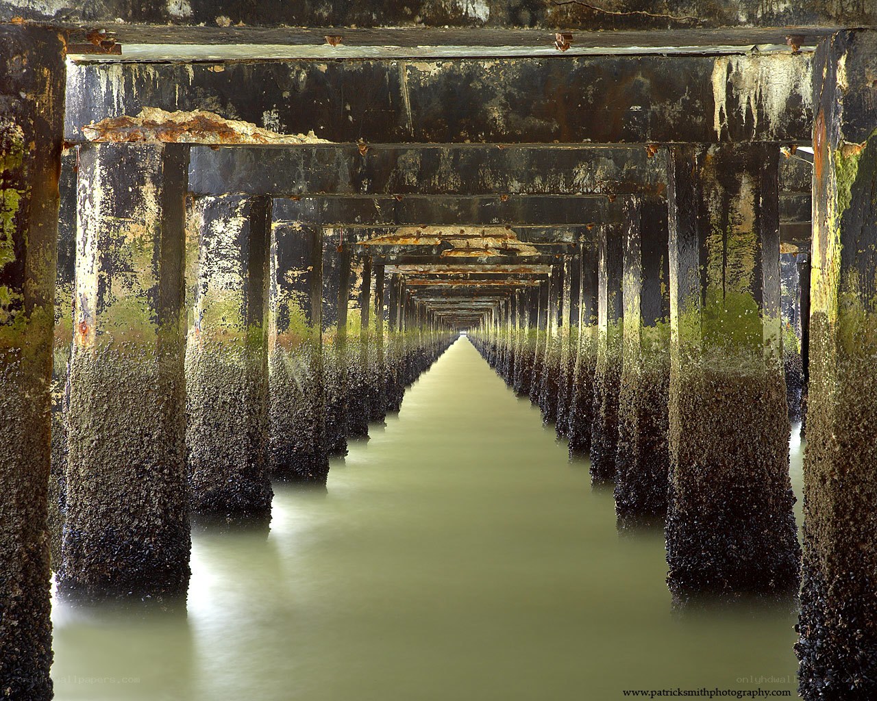 Pier understructure tunnel