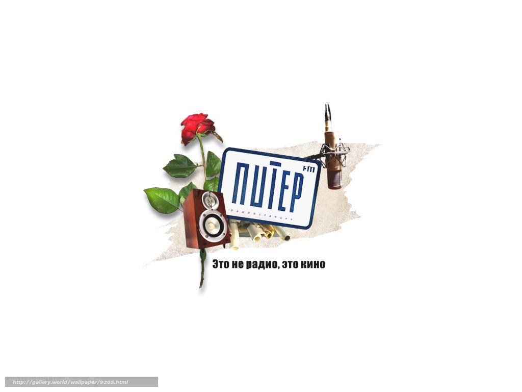 Pieter FM radio station logo