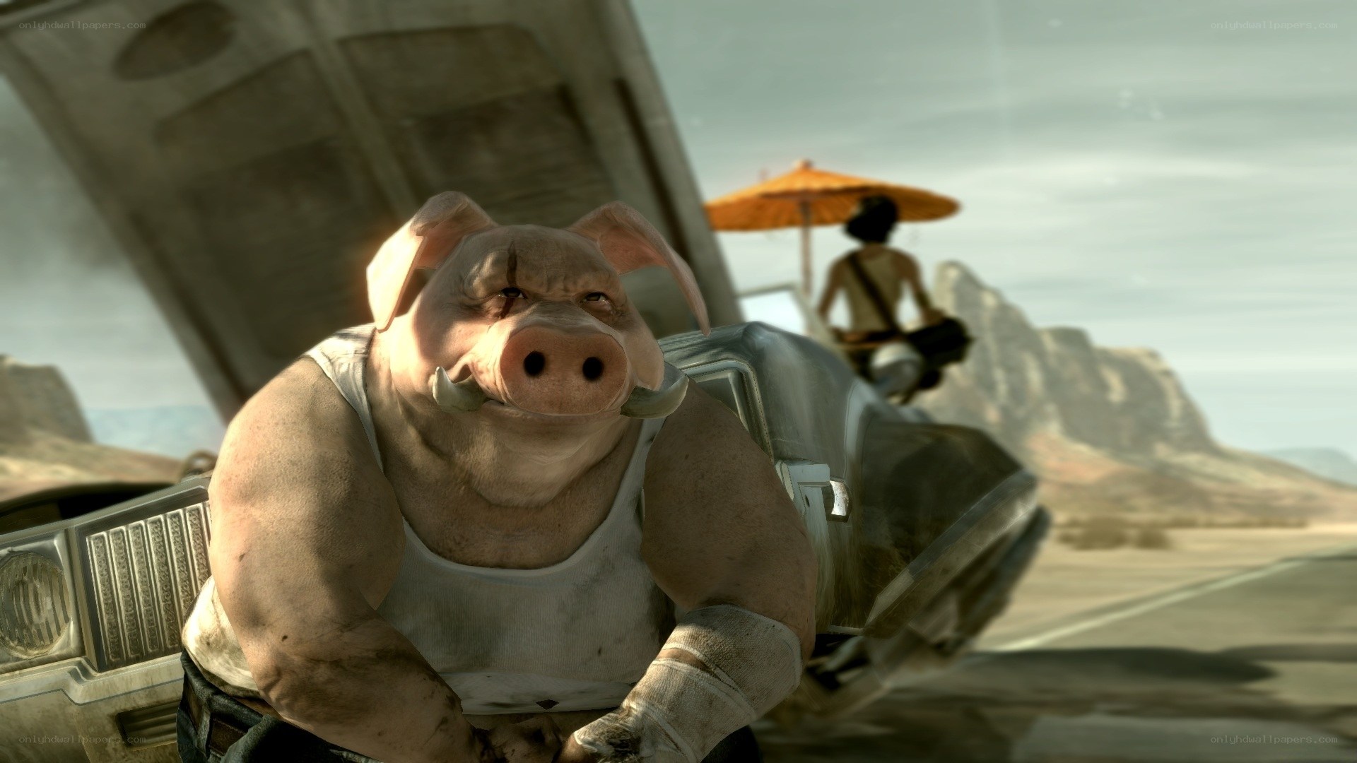Pig character in desert scene