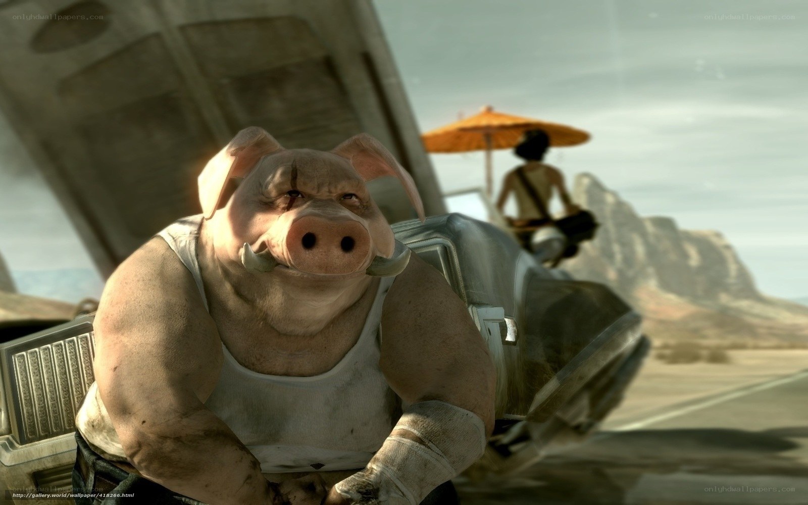 pig character in desert scene