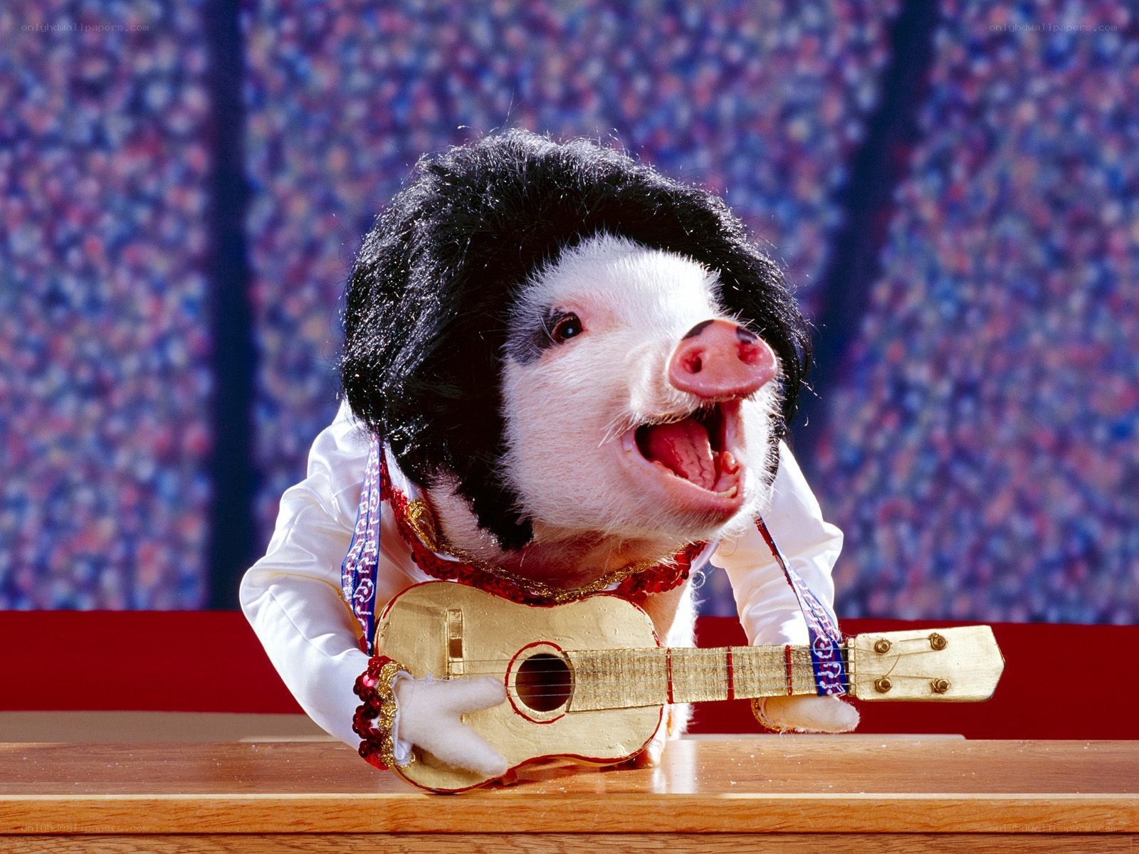 pig dressed as elvis playing guitar