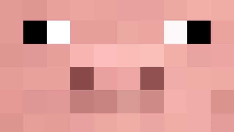 Pig Face — Pink