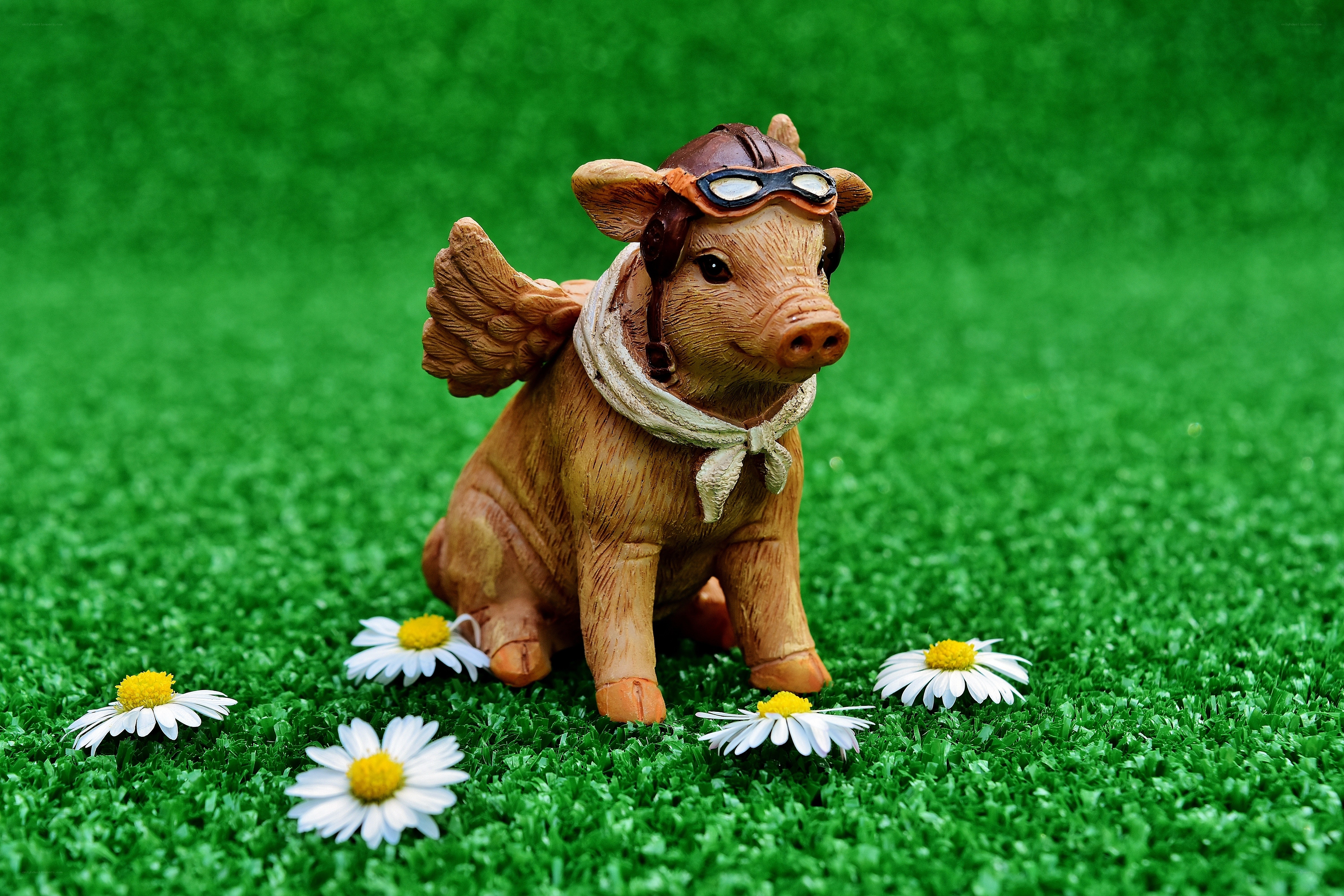 Pig figurine with wings
