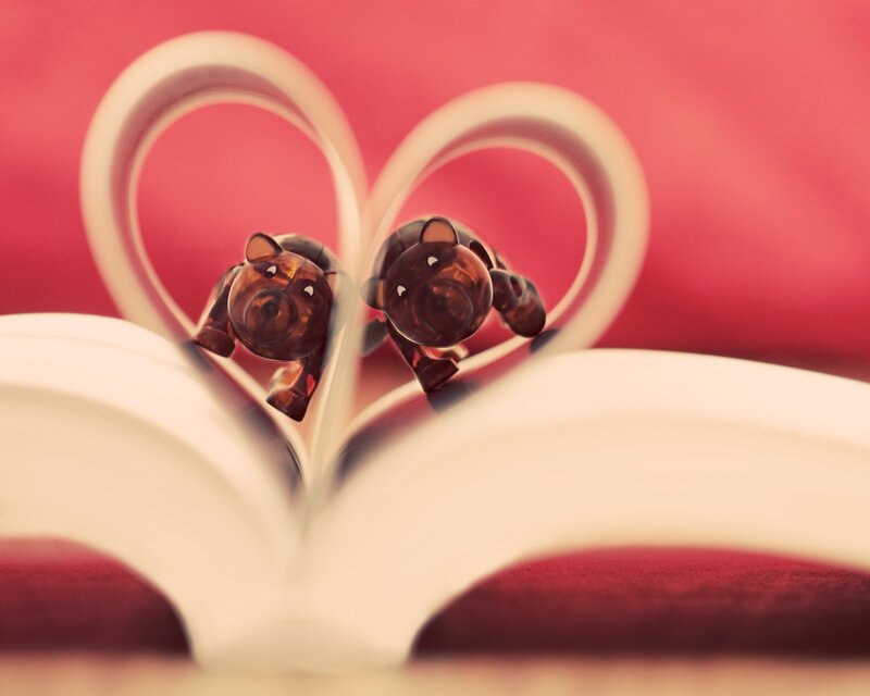 Pig figurines in heart-shaped book