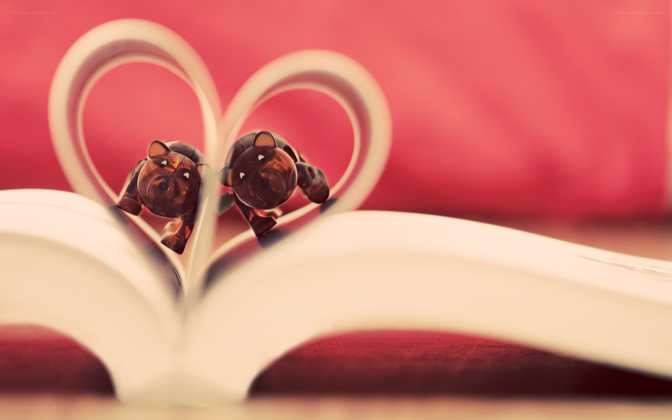 Pig figurines in heart-shaped book