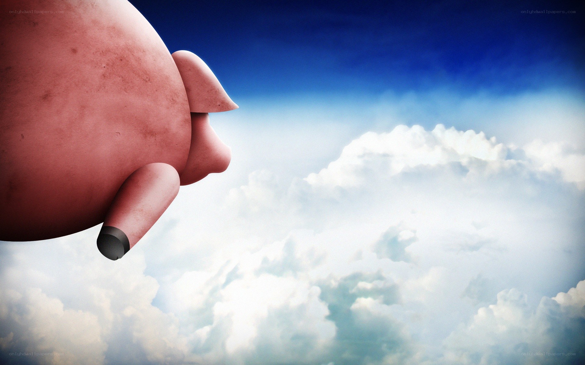 pig flying in the sky
