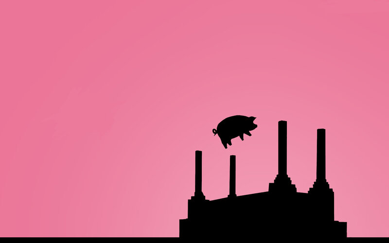 pig flying over factory