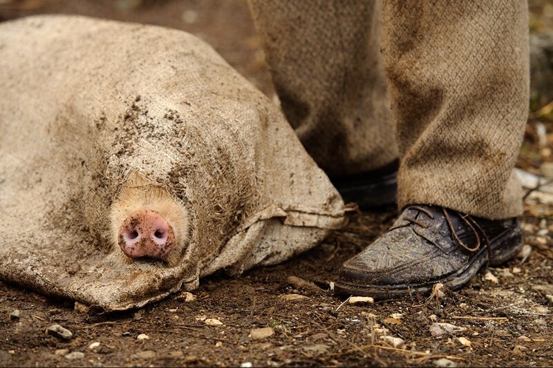 Pig in a sack