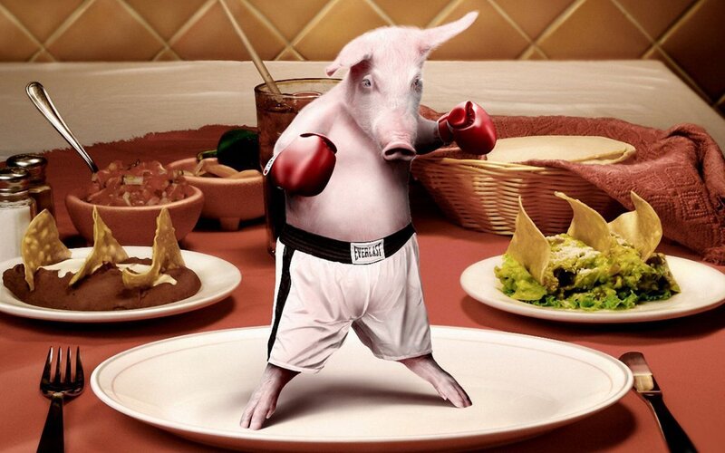 Pig in Boxing Gloves