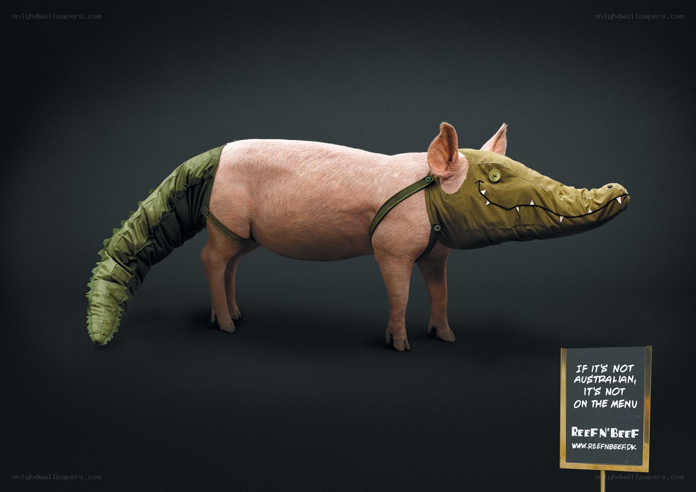 pig in crocodile costume