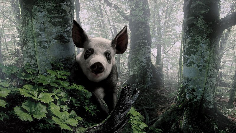 Pig in Forest — Green