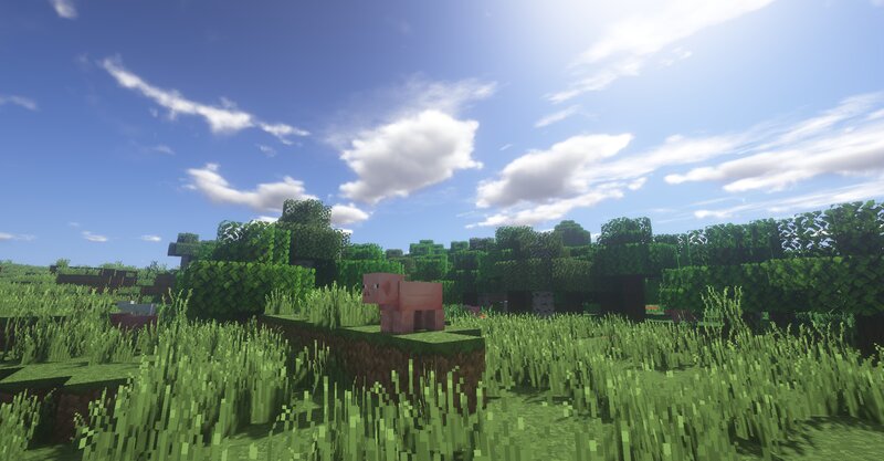 Pig in Grassy Field