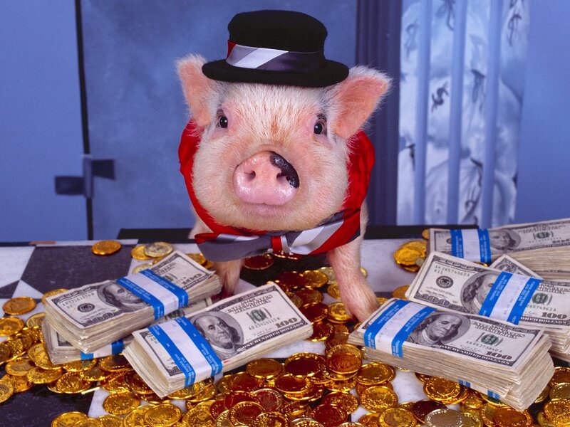Pig in Top Hat — Blue