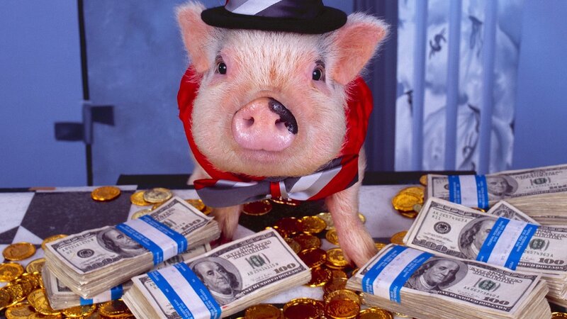 Pig in Top Hat
