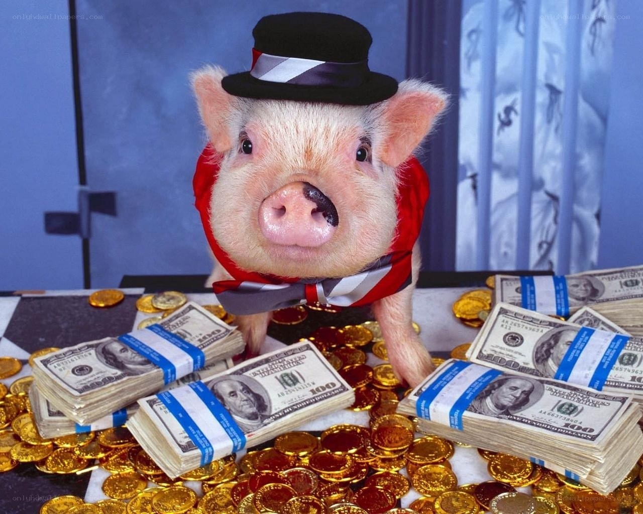 Pig in top hat with money