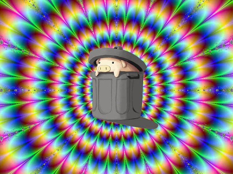Pig in Trash Can