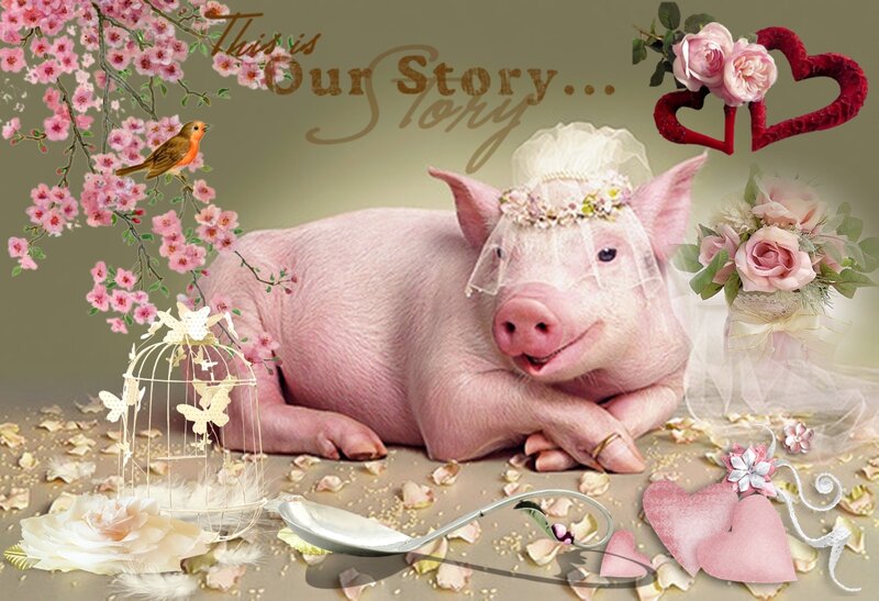 Pig in Wedding Veil — Pink