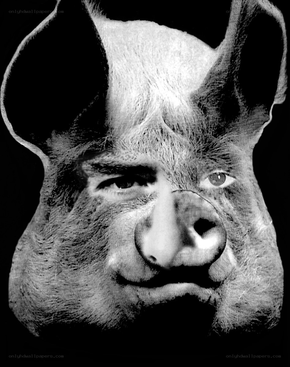 pig mask with human face
