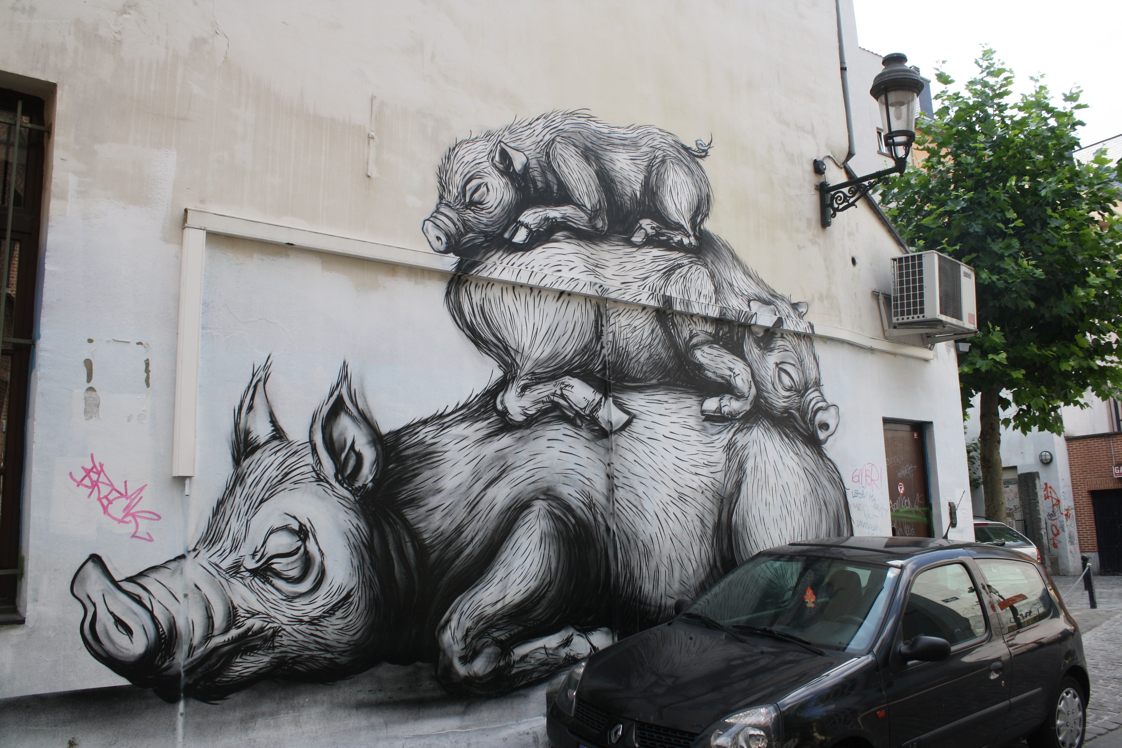 Pig mural on city wall