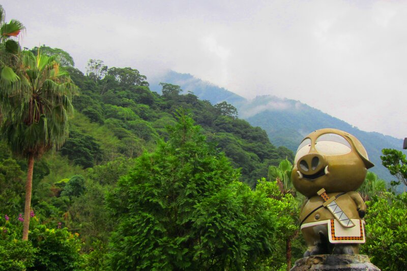 Pig Statue in Forest