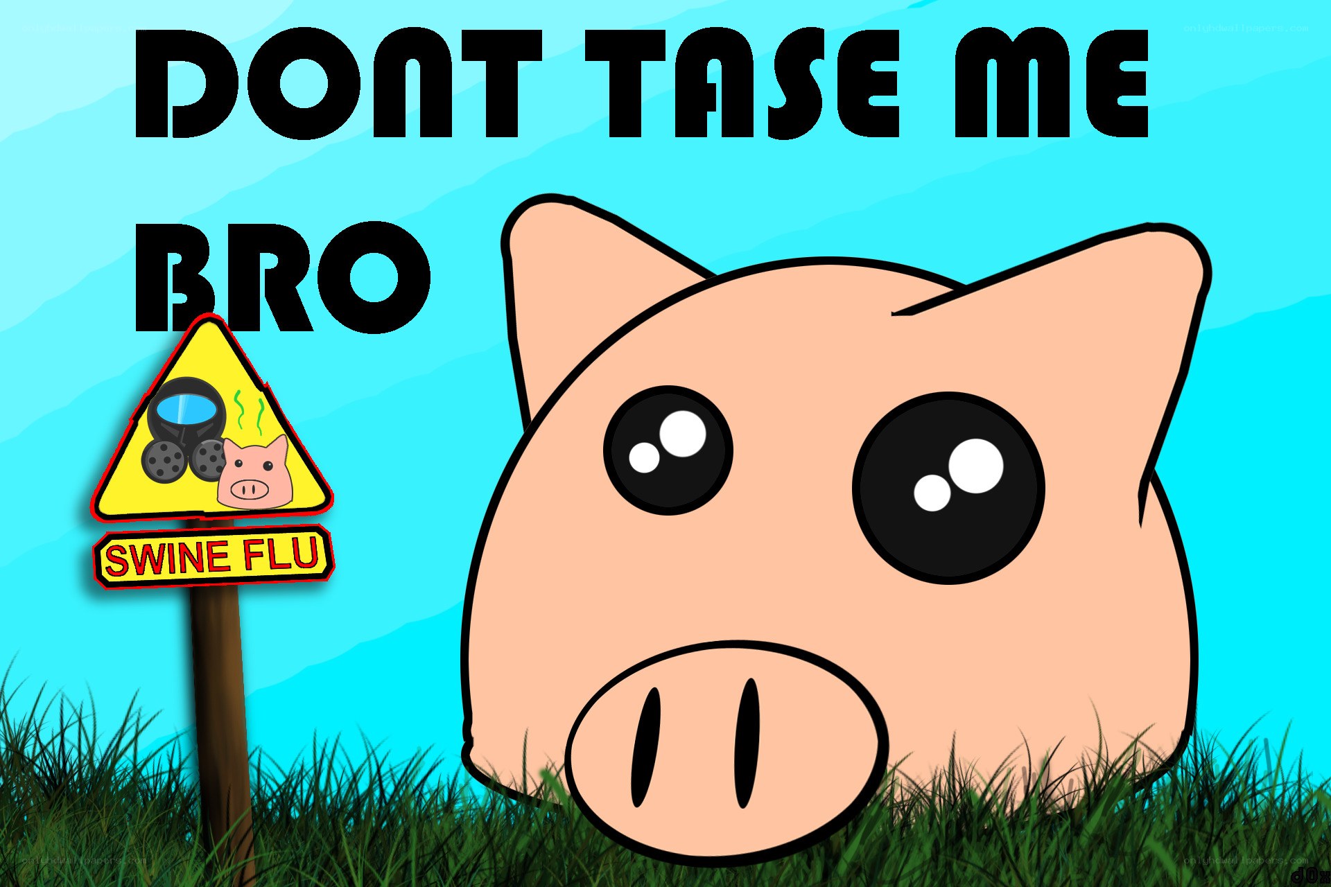 Pig warning sign meme