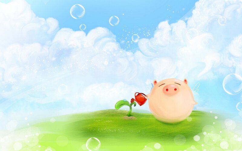 pig watering a plant