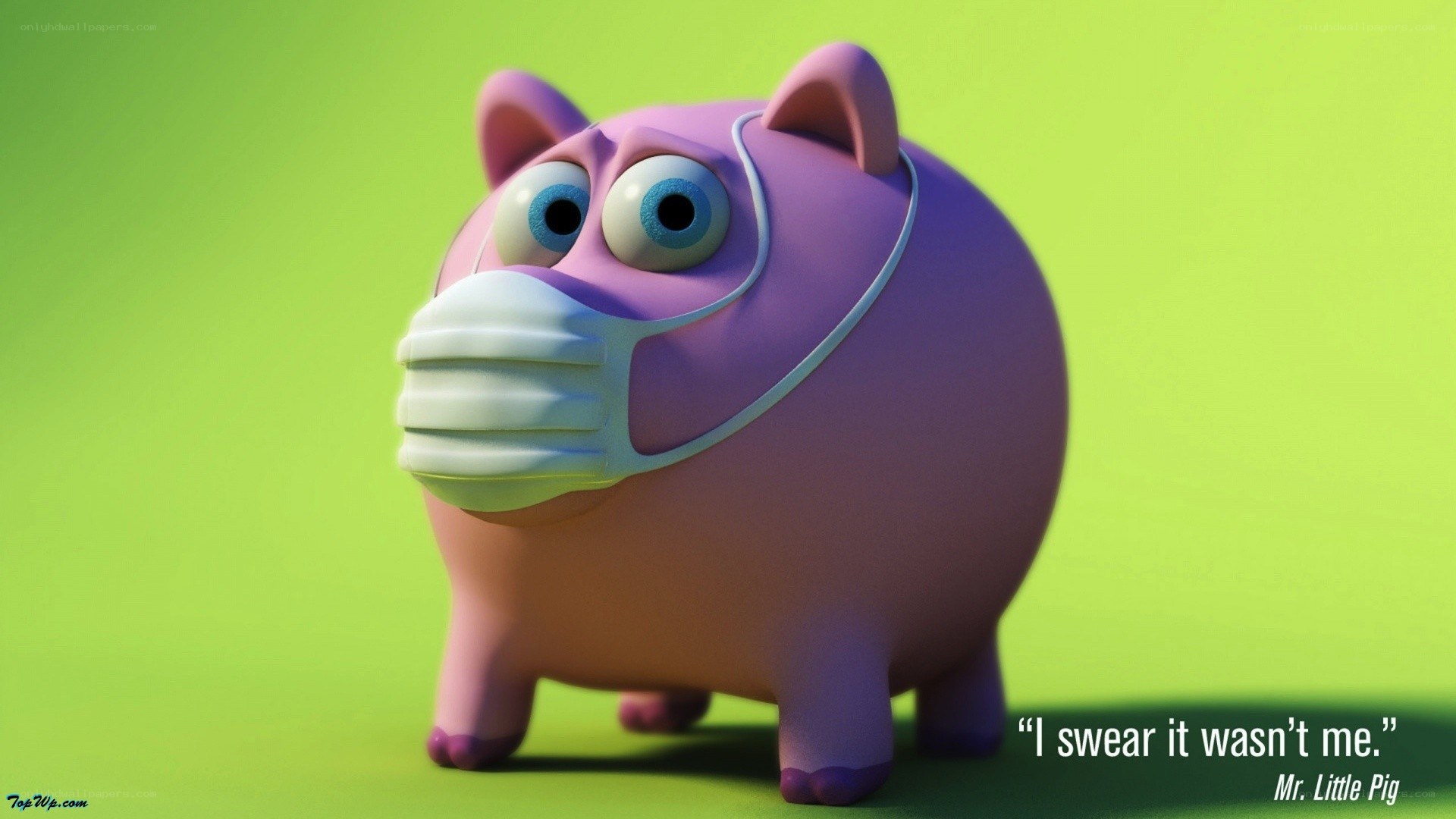 pig wearing face mask