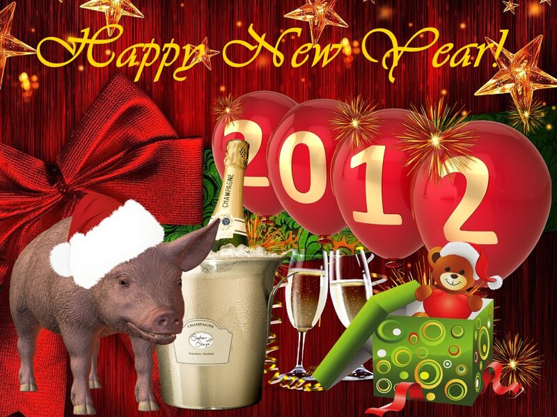 Pig Wearing Santa Hat